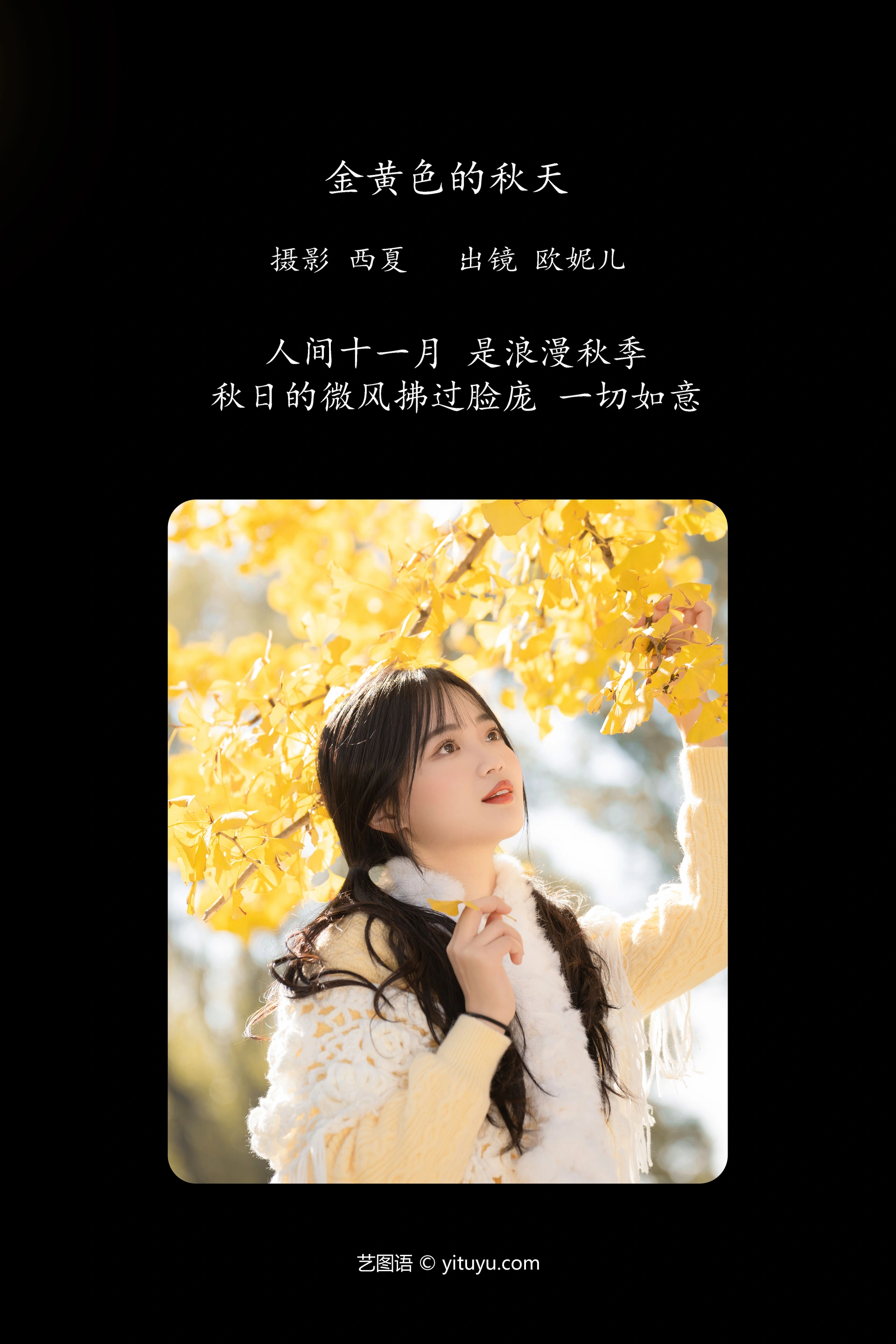 [YITUYU艺图语]2023.12.26 金黄色的秋天 小欧O 0